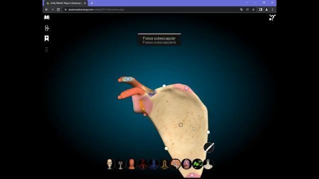 Atlas Anatômico 3D Grátis PC/Android e iOS смотреть онлайн