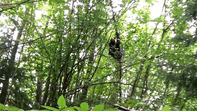 лес отдых деревня смотреть онлайн