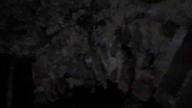 Древний подвал в развалинах дома. поселок Каложицы Ленинградской области смотреть онлайн