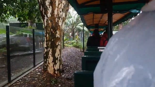 Australia, Gold Coast Vlog 2015  | Samsung NX2000