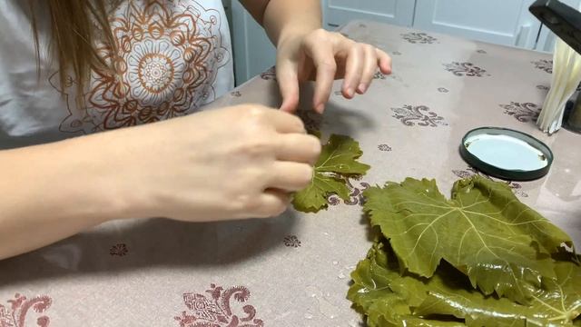 VLOG- ГОТОВИМ ГОЛУБЦЫ / РЕШИЛИ ПОКУПАТЬ ДЕРЕВЕНСКУЮ СМЕТАНУ \ ГУЛЯЕМ В ПОСЕЛКЕ смотреть онлайн