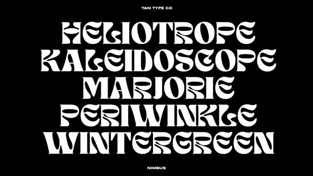 TAN NIMBUS Display Fonts | Template PSD смотреть онлайн