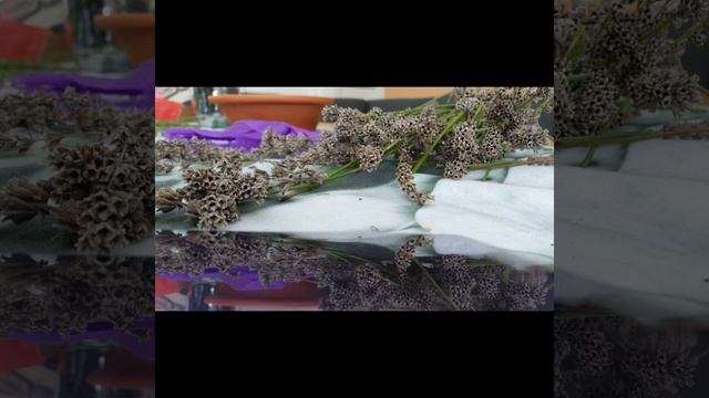 Аромасаше с лавандой. Лавандовое Саше. Мешочек с лавандой своими руками. От моли. смотреть онлайн