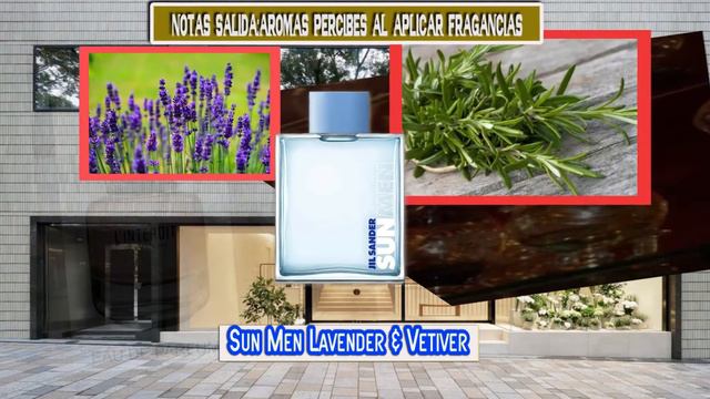 Perfumes 2021 Sun Men Lavender & Vetiver de Jil Sander para hombre|Ingredientes Principales смотреть онлайн