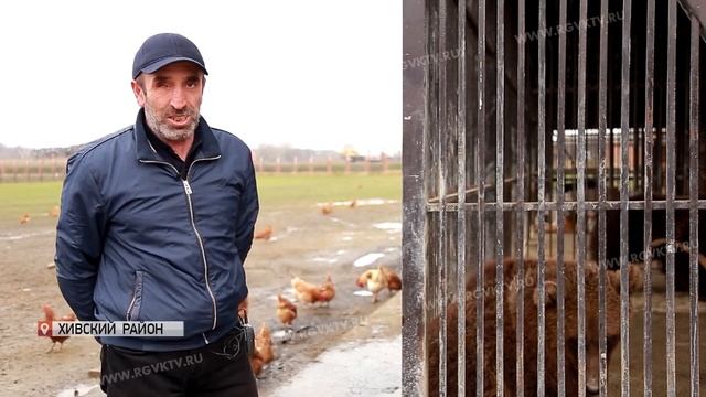 В Дагестане хорошими темпами развивается агротуризм смотреть онлайн