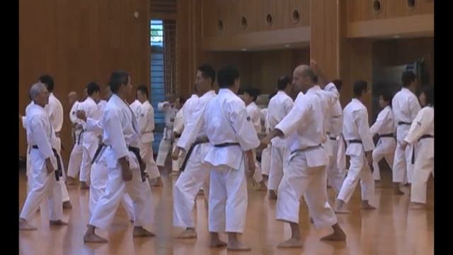 Karate Shotokan JKA- Curso com Ueki sensei смотреть онлайн