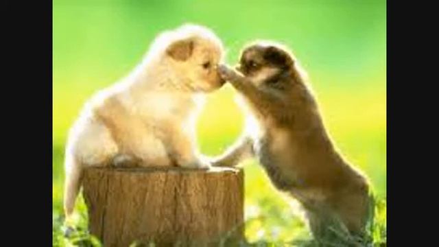 Позитивный клип про дружбу смотреть онлайн