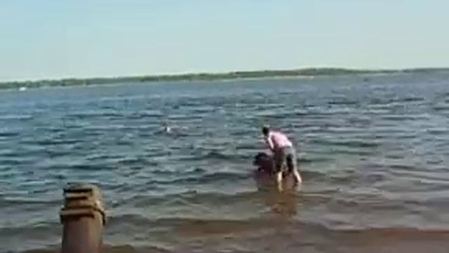 Первый опыт ньюфа Тосканы на р.Волге 2011г. смотреть онлайн