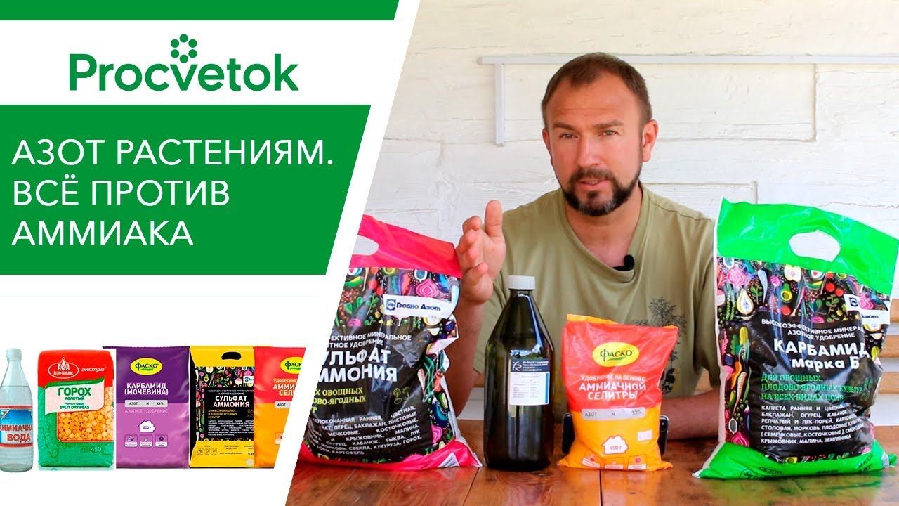 Нашатырный спирт (аммиак). Бесполезное, опасное и дорогое 