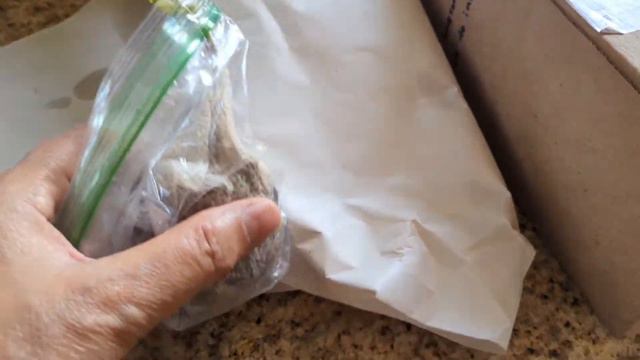 Poet jasmine (Chameli) plant Unboxing смотреть онлайн
