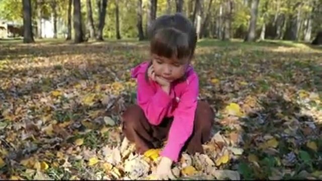 С миру по строчке - Почему деревья сбрасывают листья? смотреть онлайн