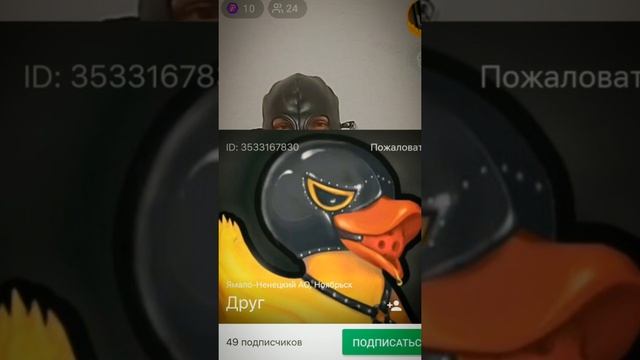 Дырявый Лунтик |МАМБА & ДРУГ ВОКРУГ| СЛИВЫ |Crazy Stream? смотреть онлайн