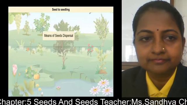Ch:5 Agents of seed dispersal Part 2 смотреть онлайн
