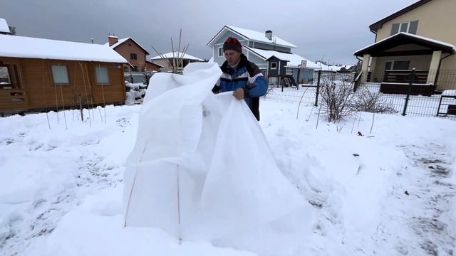ЗАЧЕМ УКРЫВАТЬ САЖЕНЦЫ ПЛОДОВЫХ ДЕРЕВЬЕВ НА ЗИМУ смотреть онлайн