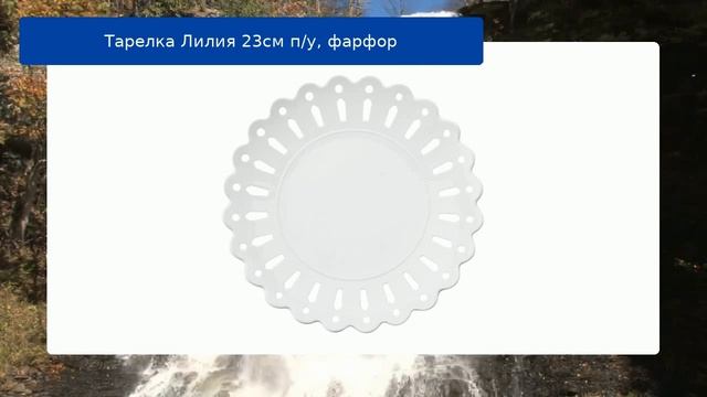 Тарелка Лилия 23см п/у, фарфор обзор смотреть онлайн