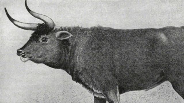 Unicorns Exist in Real Life Actual Proof of Scientists/ Единороги существуют в реальной жизни смотреть онлайн