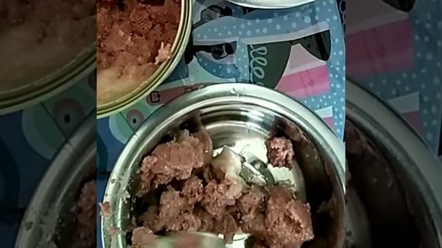 Дегустация консервированного корма для кошек "Katty" смотреть онлайн