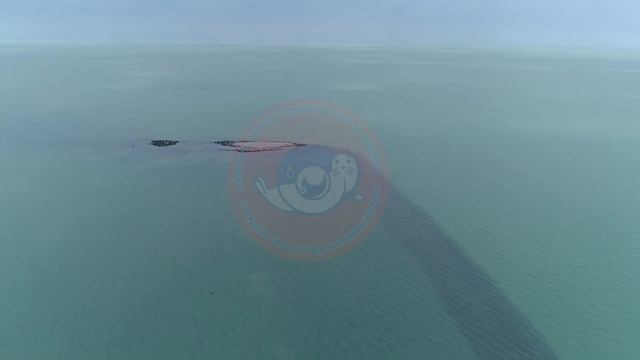 В ПОИСКАХ КАСПИЙСКОГО ТЮЛЕНЯ смотреть онлайн