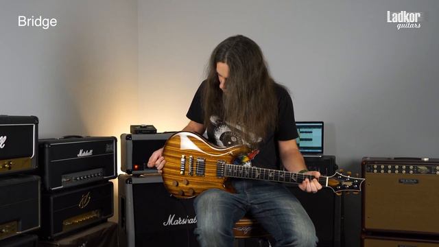 PRS Private Stock McCarty 594 Vs Singlecut 245 NO TALKING