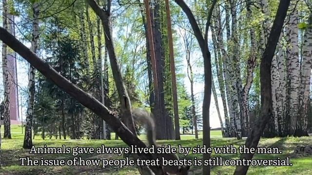 Экология. Проблемы и решения. Проект учащихся школ города Уфа. #ecology #kids #экология #проект