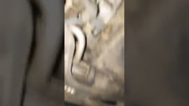 Mercedes GLK 320 Vibrations De 100 à 120 KM ????