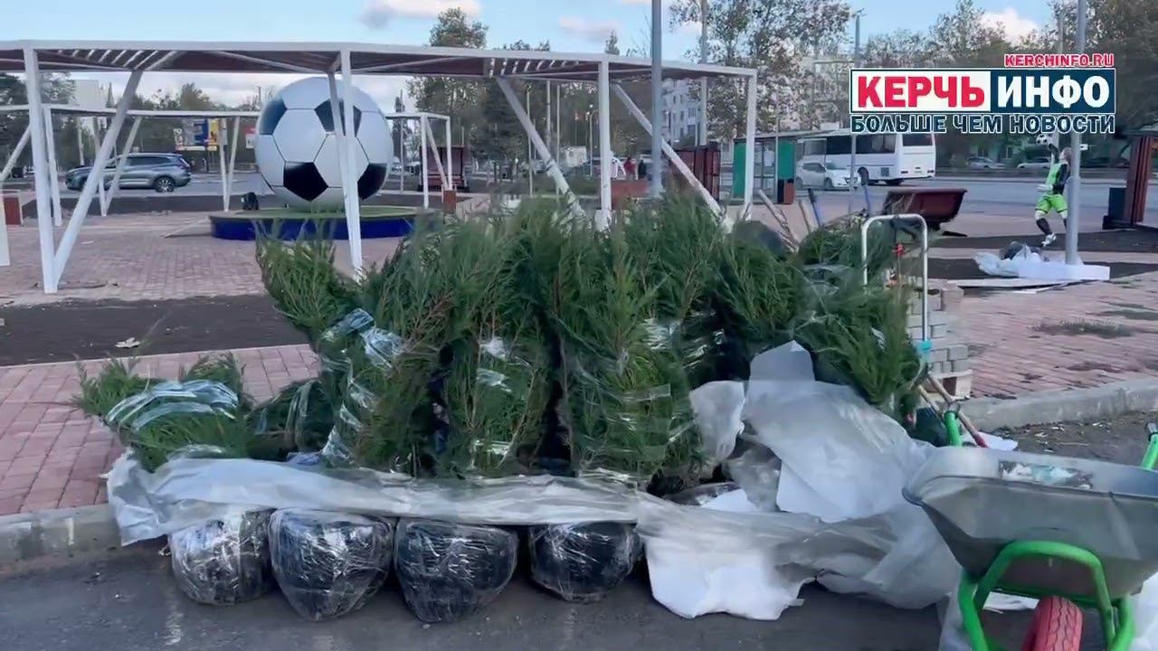 Территорию перед стадионом им. 50-летия Октября озеленяют смотреть онлайн