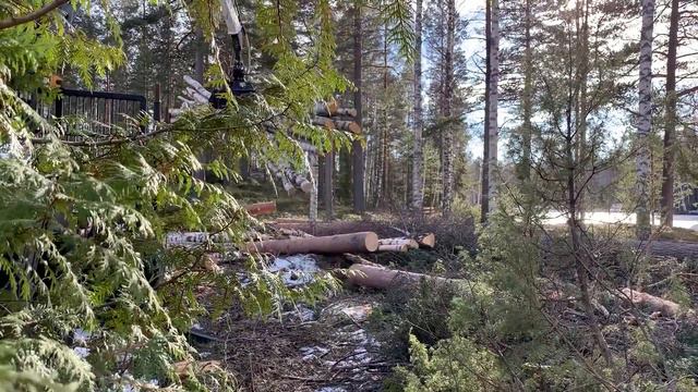 Häng med hem till Gunde och följ med i traktorn när han lastar björkmassaved ute i skogen. смотреть онлайн