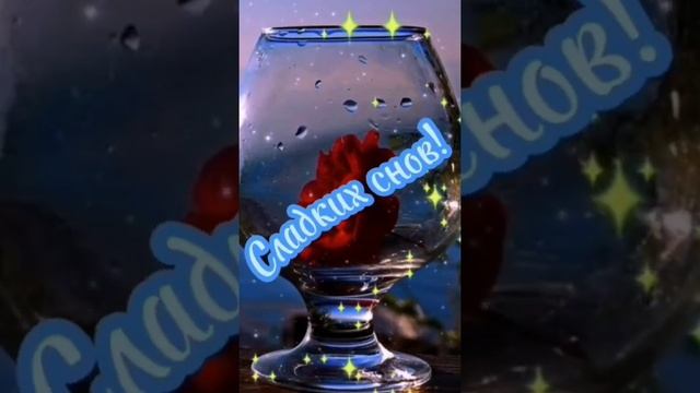 СЛАДКИХ СНОВ спокойной ночи #short #shorts #shortvideo #shortsvideo #добрыйвечер #пожелание смотреть онлайн