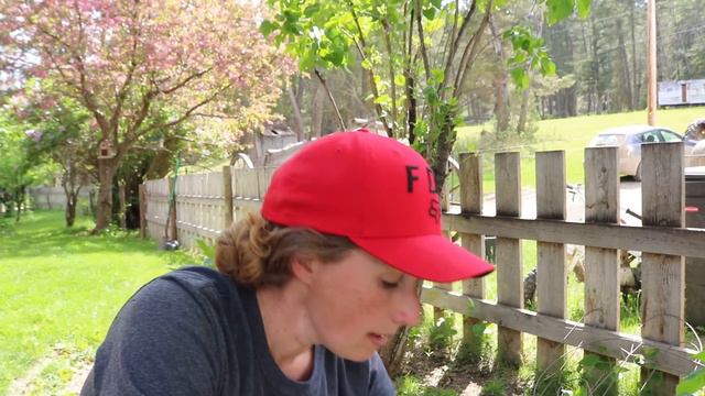 Garden VLOG | Planting Clematis | Farm Babies