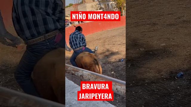 UN N1Ñ0 M0NT4ND0 UN TOR0 BR4V0.!!! #jaripeo #Monta #toro #bull #bullriders #plaza #caballo #horse смотреть онлайн