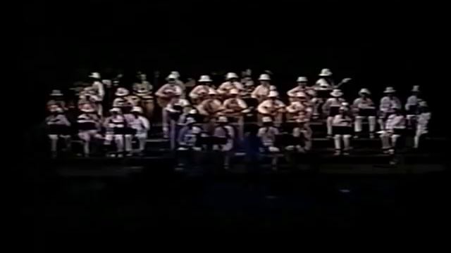 Luis Rosado Vega / Ricardo Palmerín - Peregrina смотреть онлайн