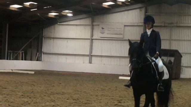 Fell Pony Tries DRESSAGE!|The Fell Pony смотреть онлайн