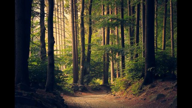 Релаксация Красивые Виды Природы смотреть онлайн