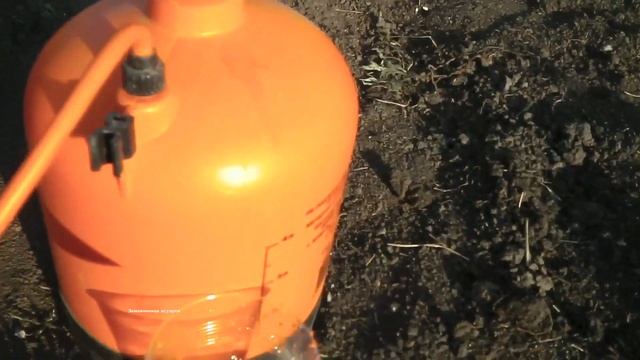 КАК ИЗБАВИТЬСЯ ОТ ДОЛГОНОСИКА НА КЛУБНИКЕ ВО ВРЕМЯ БУТОНИЗАЦИИ И В НАЧАЛЕ ЦВЕТЕНИЯ смотреть онлайн