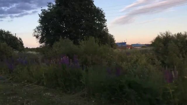 Какая заграница? У меня на даче лучше! смотреть онлайн