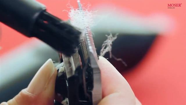 MOSER Animalline Arco Quick Clean Funktion DE EN смотреть онлайн