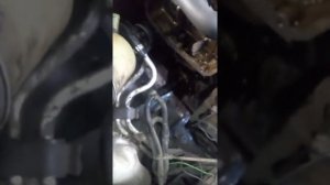 Замена цепи ГРМ. Ниссан микра К11, двигатель CG10.