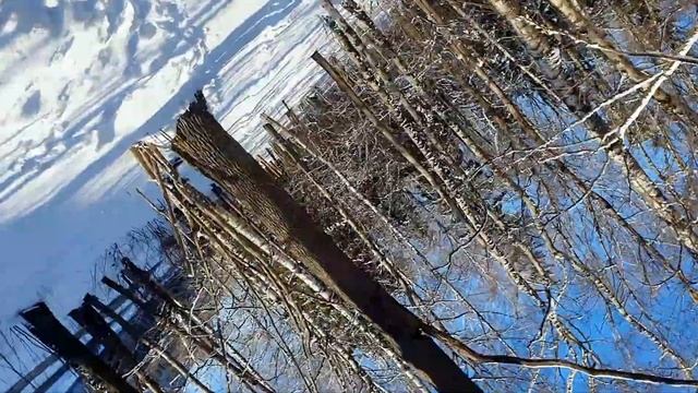Похудеть за час с помощью бега (сколько кг можно сбросить) смотреть онлайн