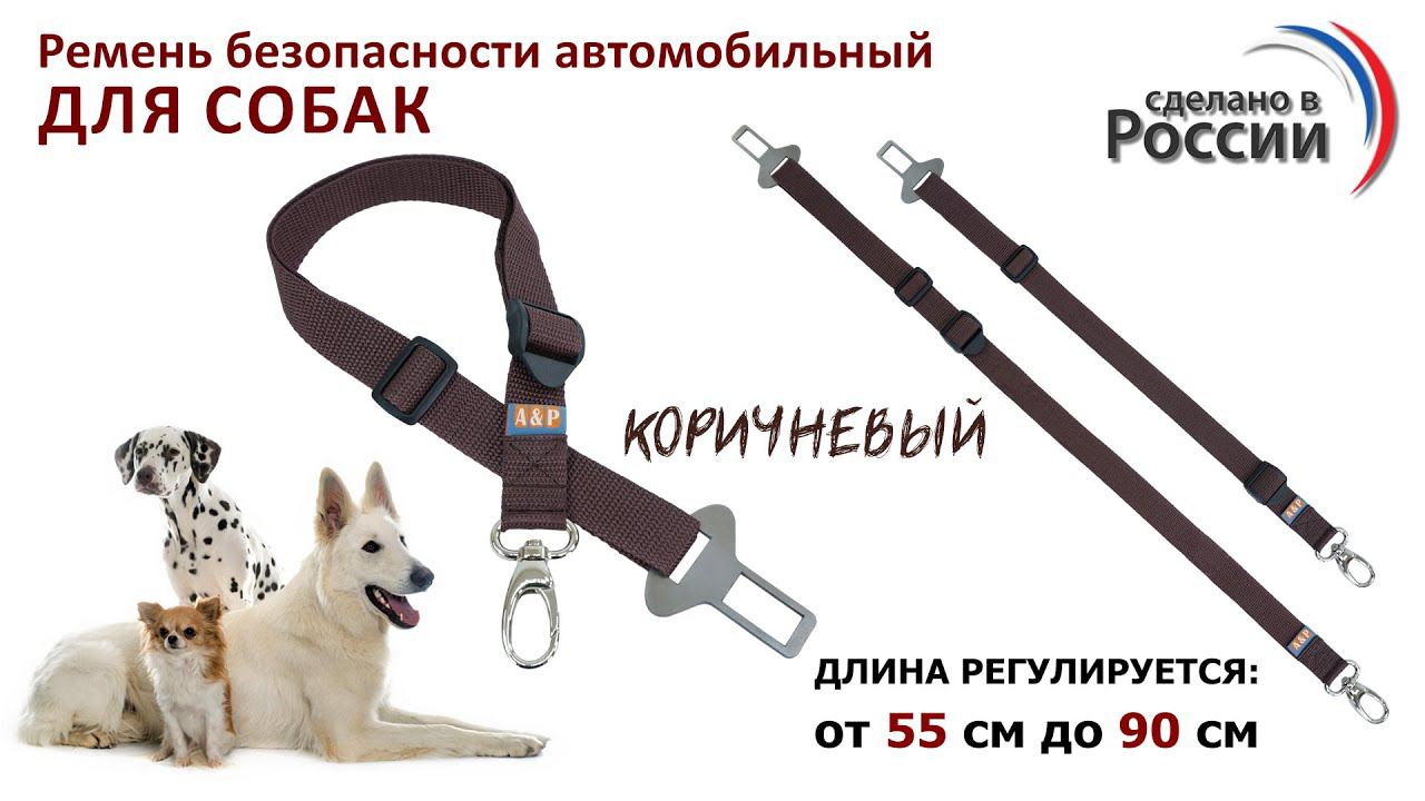 Ремень безопасности для собак в автомобиль, цвет коричневый. Промо-ролик.