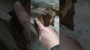 Ремонт пола на рефрижераторе шмиц