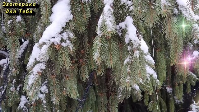 Сегодня 20 января коварный день, отломите кусочек хлеба, уберите любые преграды смотреть онлайн