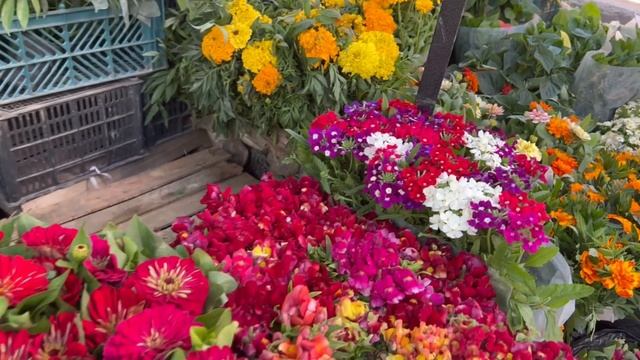 Чорсу Цветочный Базар Ташкент. Flower Bazaar Chorsu Tashkent. Gardening Uzbekistan #tashkent смотреть онлайн