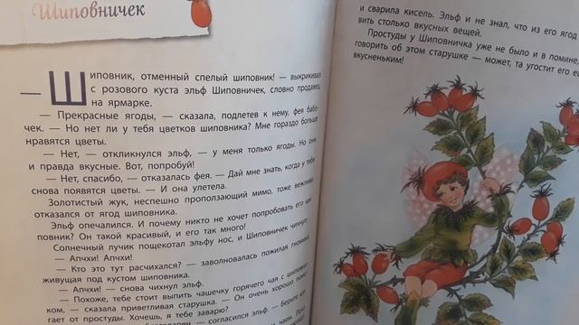 Истории сказочного леса. Цветочные феи. Шиповничек. смотреть онлайн