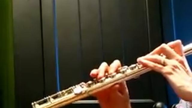 Yamaha 681 (784) Used Professional Flute - Low-Mid. Demo смотреть онлайн