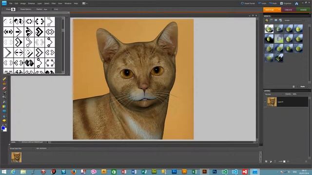 Cookie Cutter In Photoshop Elements | How To | Custom Shapes Presets | Graphicxtras смотреть онлайн