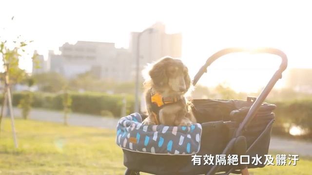 22 мая 2023 г. смотреть онлайн