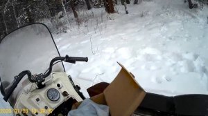 Обзор снегохода Буран 4тд