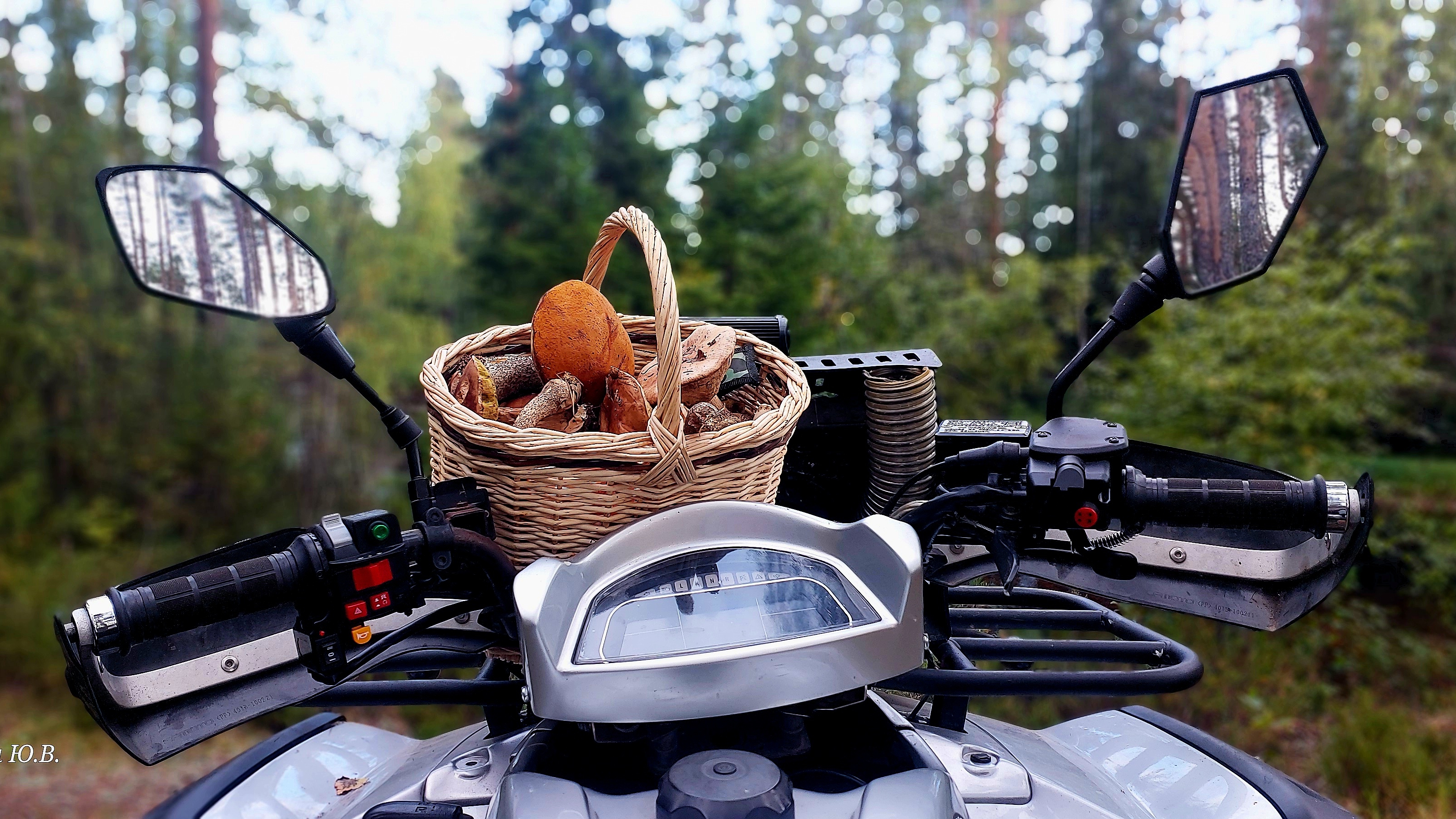 За грибами на квадроцикле