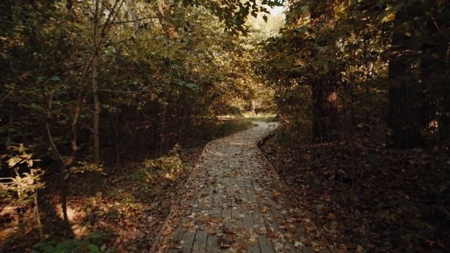 мы родились в сибири//обзор//на халяву и уксус сладкий,а на свои кровные и мёд горчит//