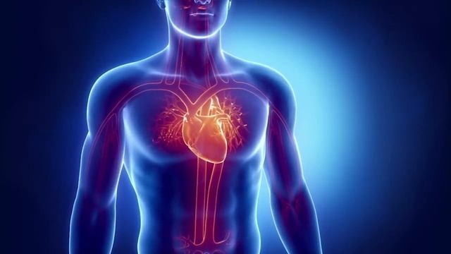 Хусусиятхои шифобахшии лубиё